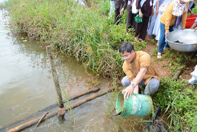 Offering five branches of Hoang Phap pagoda and releasing creatures