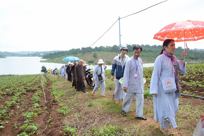 Offering five branches of Hoang Phap pagoda and releasing creatures
