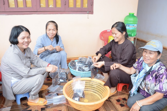 Offering five branches of Hoang Phap pagoda and releasing creatures