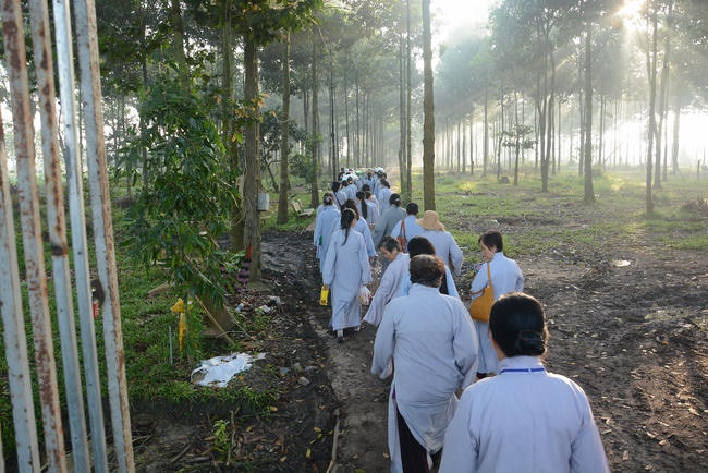 Offering five branches of Hoang Phap pagoda and releasing creatures