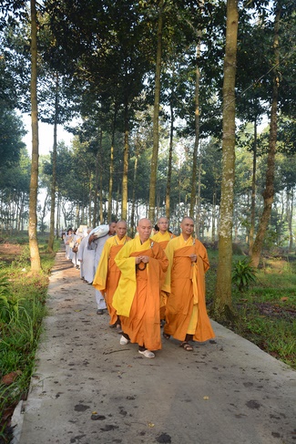 Offering five branches of Hoang Phap pagoda and releasing creatures