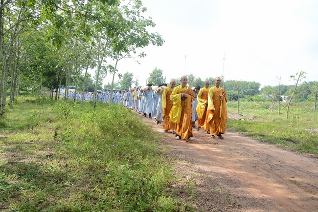 Offering five branches of Hoang Phap pagoda and releasing creatures
