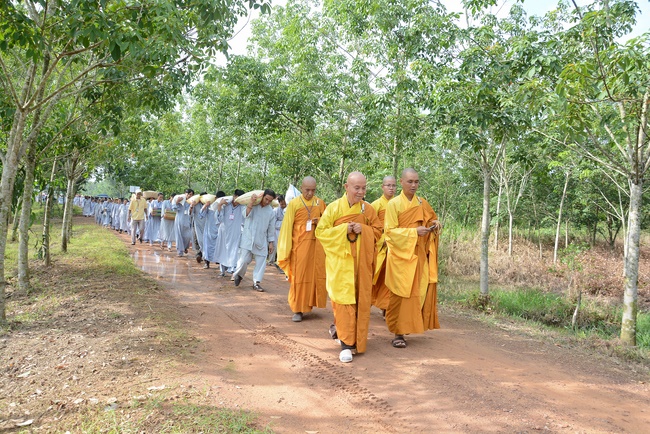 Offering five branches of Hoang Phap pagoda and releasing creatures