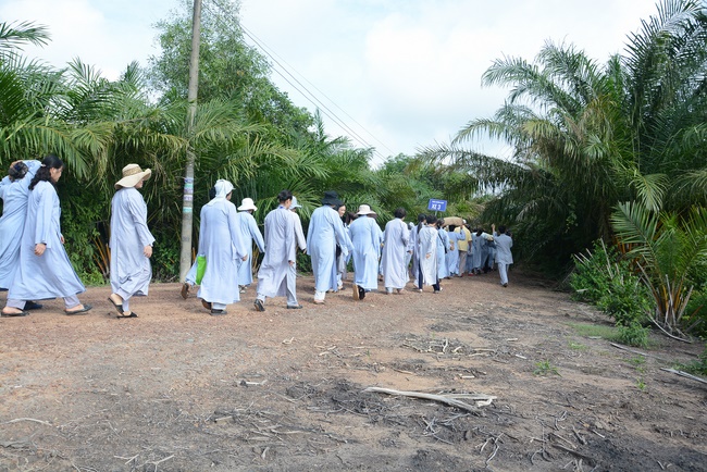 Offering five branches of Hoang Phap pagoda and releasing creatures