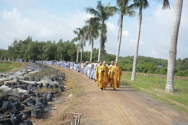 Offering five branches of Hoang Phap pagoda and releasing creatures