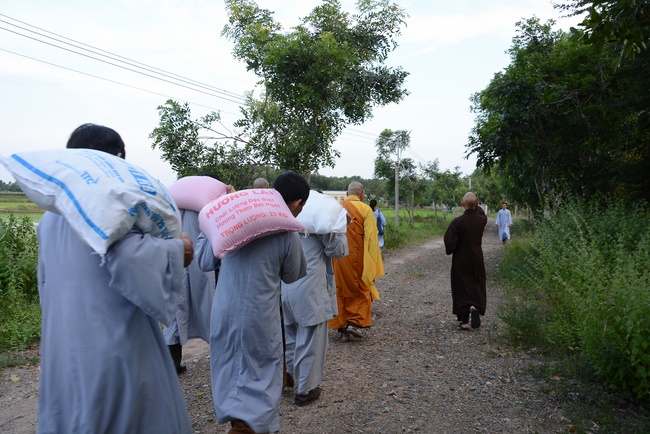 Offering five branches of Hoang Phap pagoda and releasing creatures