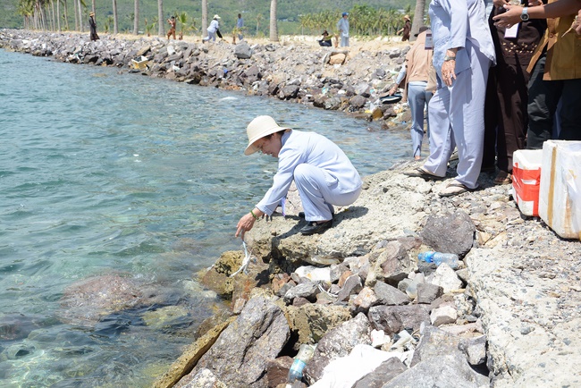 Offering five branches of Hoang Phap pagoda and releasing creatures