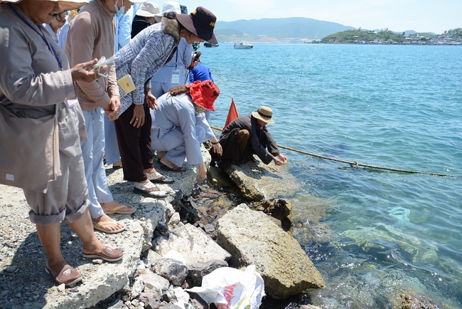 Offering five branches of Hoang Phap pagoda and releasing creatures