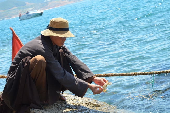 Offering five branches of Hoang Phap pagoda and releasing creatures