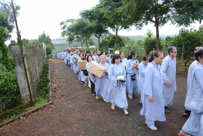 Offering five branches of Hoang Phap pagoda and releasing creatures