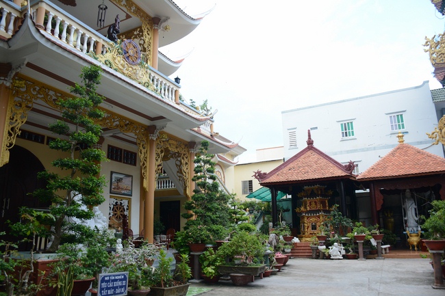 Quỹ Đào Tạo Tăng Tài Ngộ Chân Tử