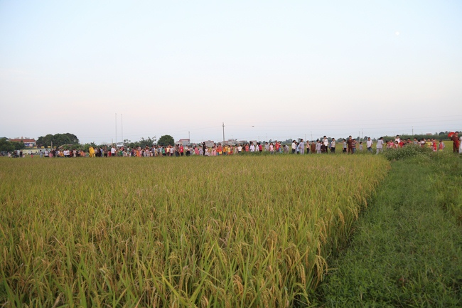 Mid-Autumn Festival at Dong Cao Pagoda in Thanh Hoa province