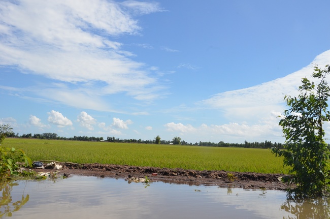 Handing over two charity houses and releasing creatures in Kien Giang