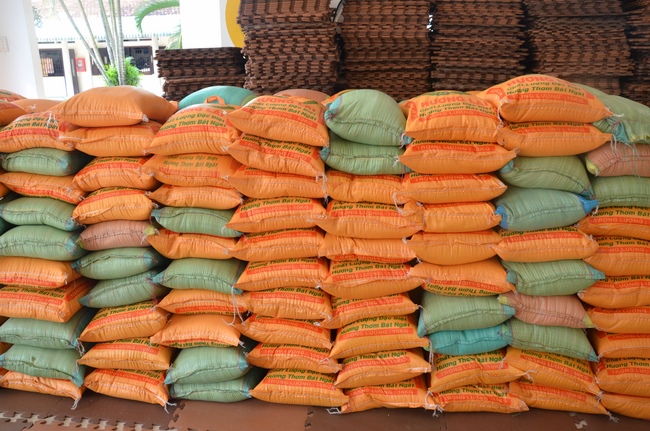 Testing health, giving medicines and gifts in Binh Phuoc