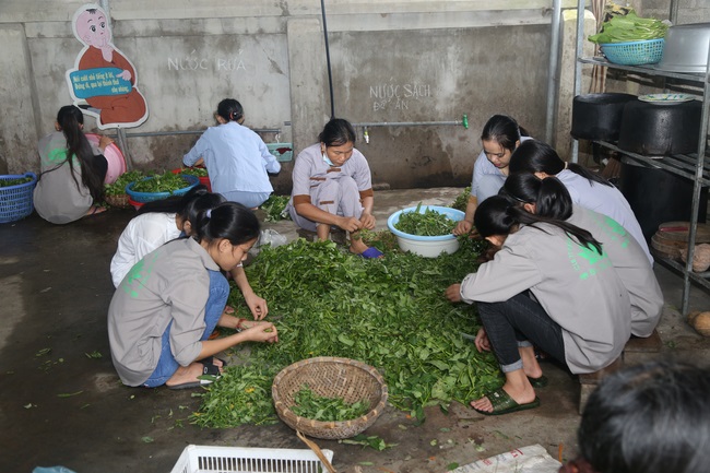 One - Day Cultivation at Dong Cao Pagoda in Thanh Hoa province.