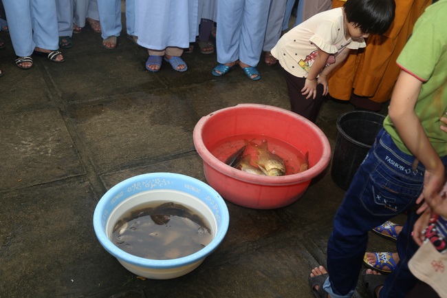 One - Day Cultivation at Dong Cao Pagoda in Thanh Hoa province.