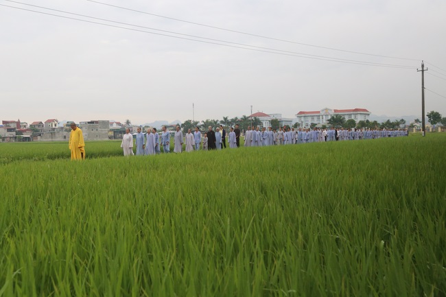 One - Day Cultivation at Dong Cao Pagoda in Thanh Hoa province.