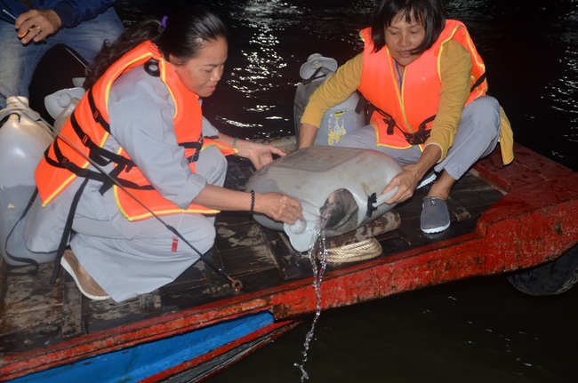 Dự lễ lạc thành chánh điện và trao học bổng tại chùa Phước Long