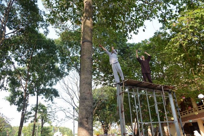 Series photos of activities preparing for the New Year 2019