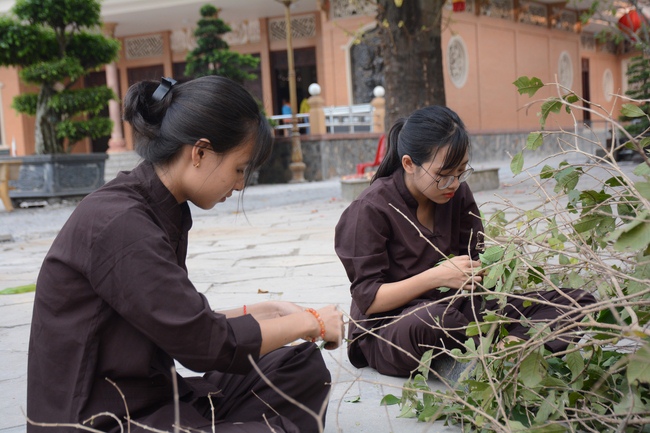 Series photos of activities preparing for the New Year 2019