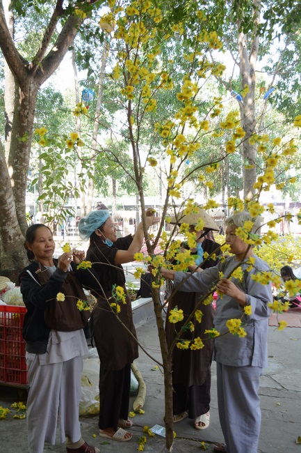 Series photos of activities preparing for the New Year 2019