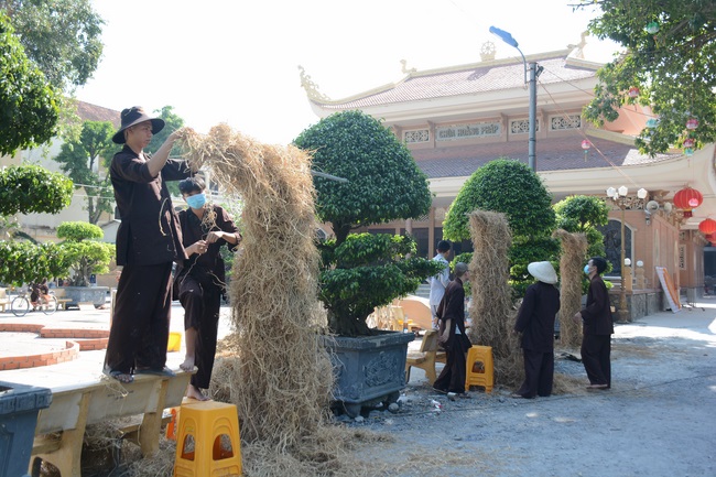 Series photos of activities preparing for the New Year 2019