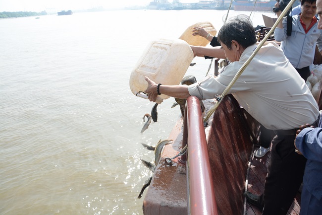 Phóng sanh bằng du thuyền trên sông Sài Gòn