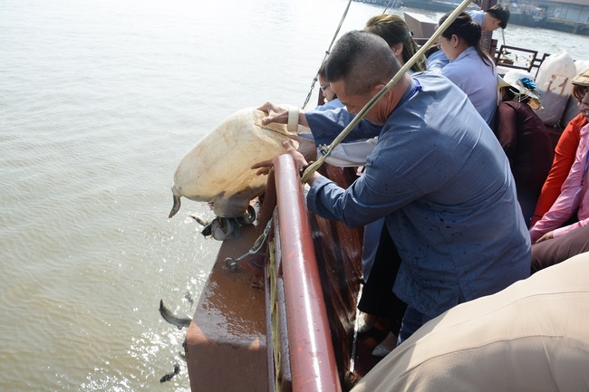 Phóng sanh bằng du thuyền trên sông Sài Gòn