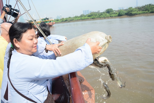 Phóng sanh bằng du thuyền trên sông Sài Gòn