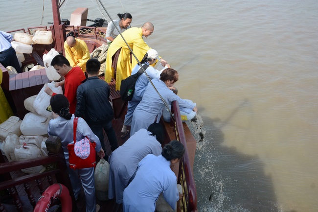 Phóng sanh bằng du thuyền trên sông Sài Gòn