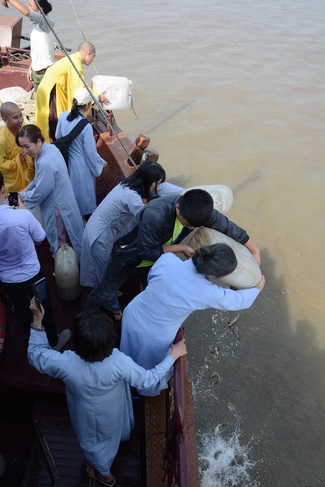 Phóng sanh bằng du thuyền trên sông Sài Gòn