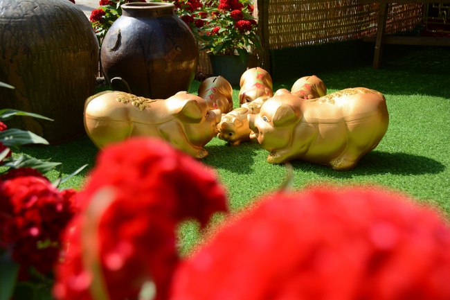 Year-end summarizing ceremony at Nhat Phap pagoda in Dong Nai.