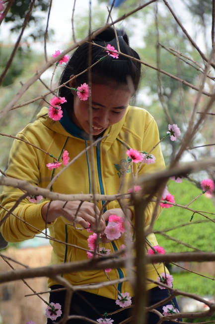 Series photos of activities preparing for the New Year 2019