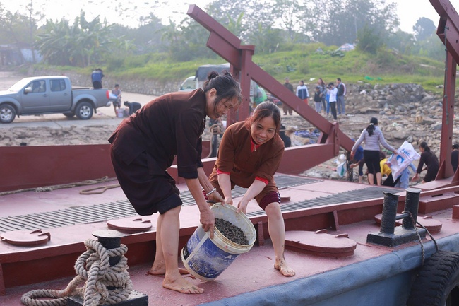 Hoa Phuc Pagoda: Ceremony of Thanking Dharma - The Dog's year-end photo exhibition