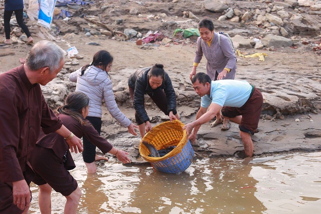 Hoa Phuc Pagoda: Ceremony of Thanking Dharma - The Dog's year-end photo exhibition