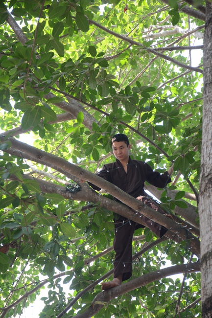 Series photos of activities preparing for the New Year 2019