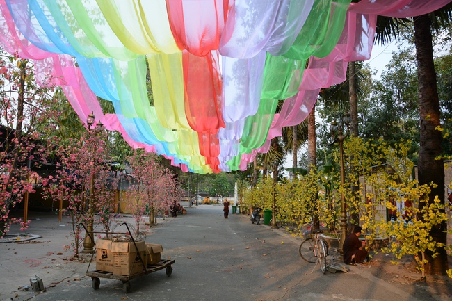 Series photos of activities preparing for the New Year 2019