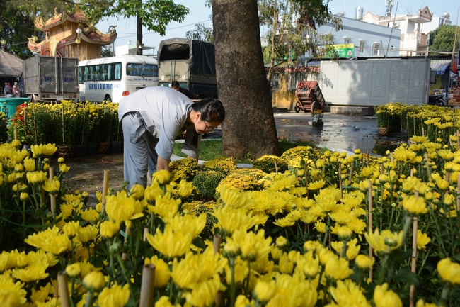 Series photos of activities preparing for the New Year 2019