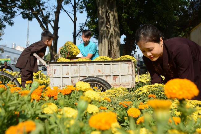 Series photos of activities preparing for the New Year 2019