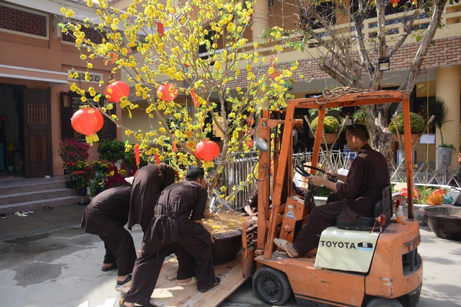 Series photos of activities preparing for the New Year 2019