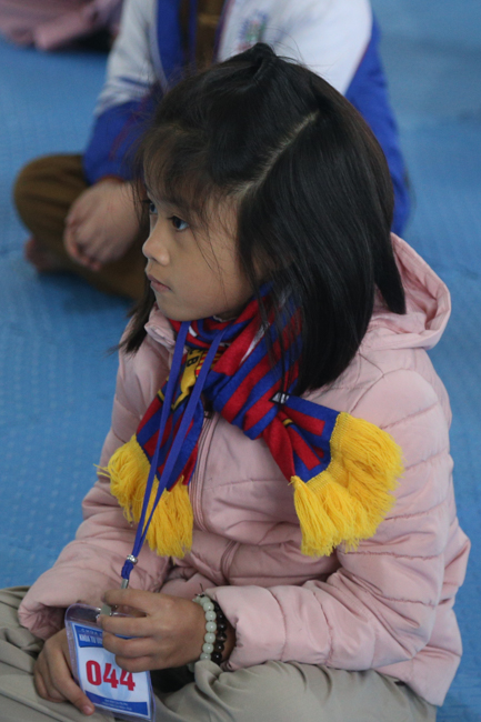 The retreat Lotus Seeds' Sowing  at Dong Cao Pagoda - Thanh Hoa