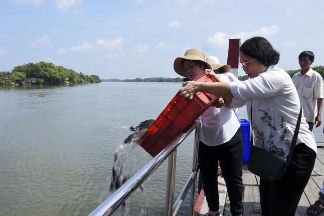 The rite of burial in water and freeing creatures in Binh My, Cu Chi
