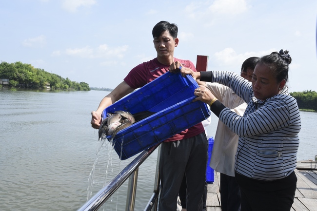The rite of burial in water and freeing creatures in Binh My, Cu Chi