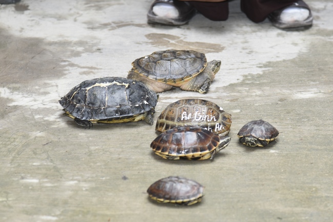 Visiting a patient at Gia An 115 Hospital