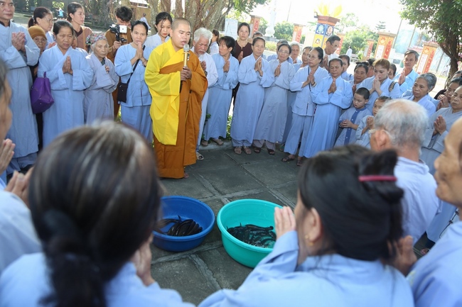 One-day Retreat at Dong Cao Pagoda