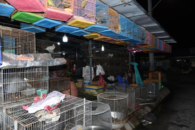 The  praying ceremony for rebirth and releasing creatures in Hoc Mon