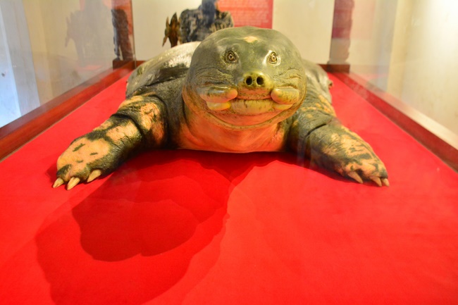 Hành trình về các điểm tâm linh miền Bắc