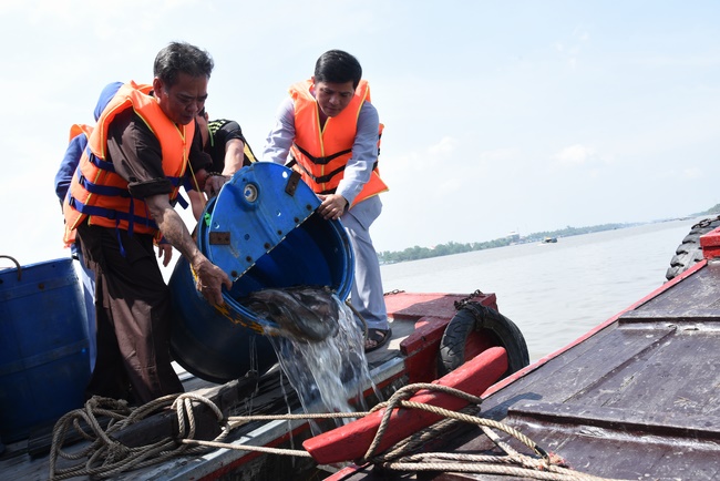Offering to Quoc Thoi Pagoda and freeing creatures in Ben Tre