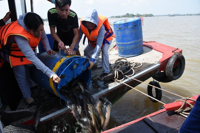 Offering to Quoc Thoi Pagoda and freeing creatures in Ben Tre