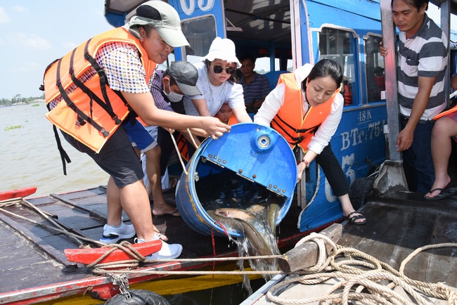 Offering to Quoc Thoi Pagoda and freeing creatures in Ben Tre